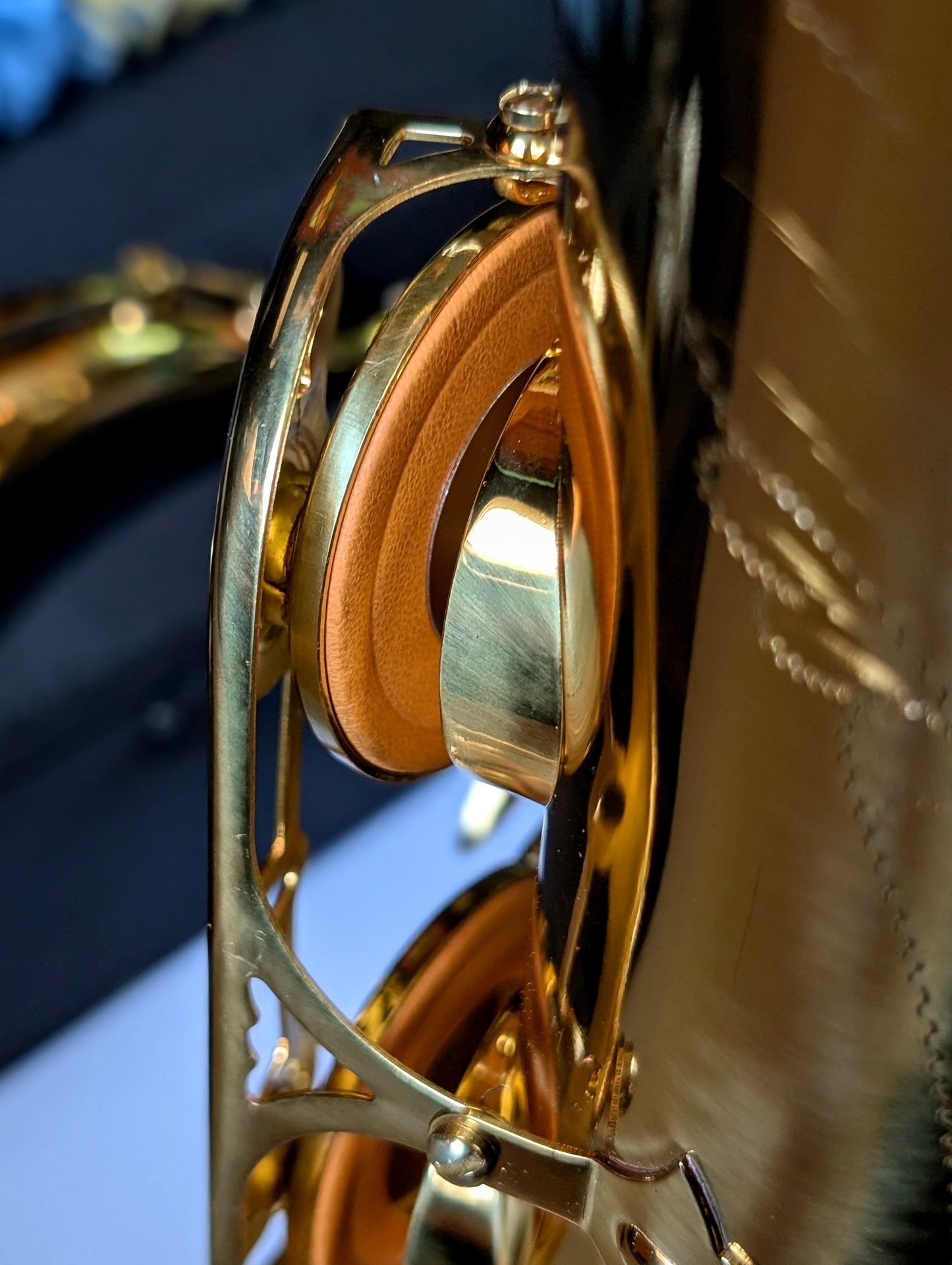 Slade Entry-Level Premium Tenor Saxophone