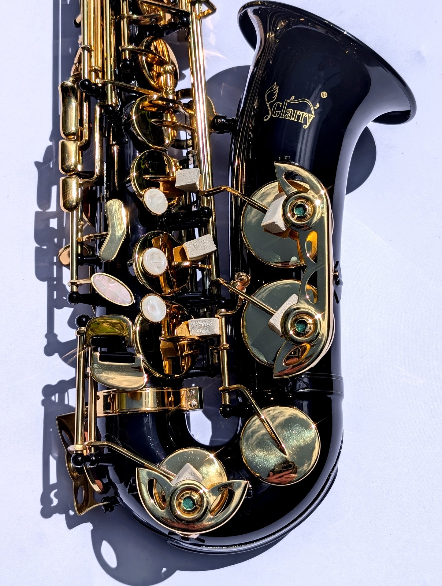 Premium Black Alto Saxophone with High F#