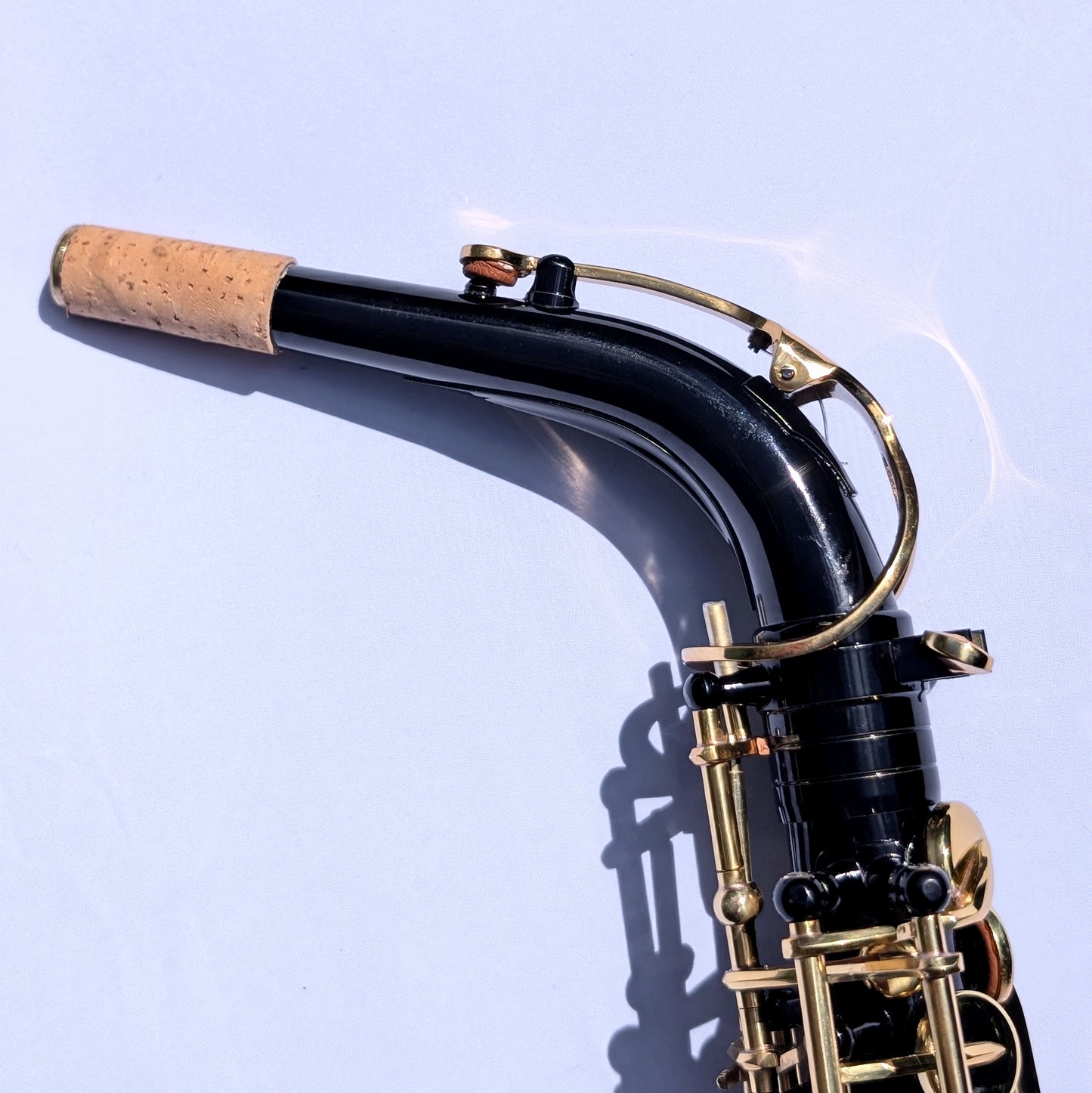Premium Black Alto Saxophone with High F#