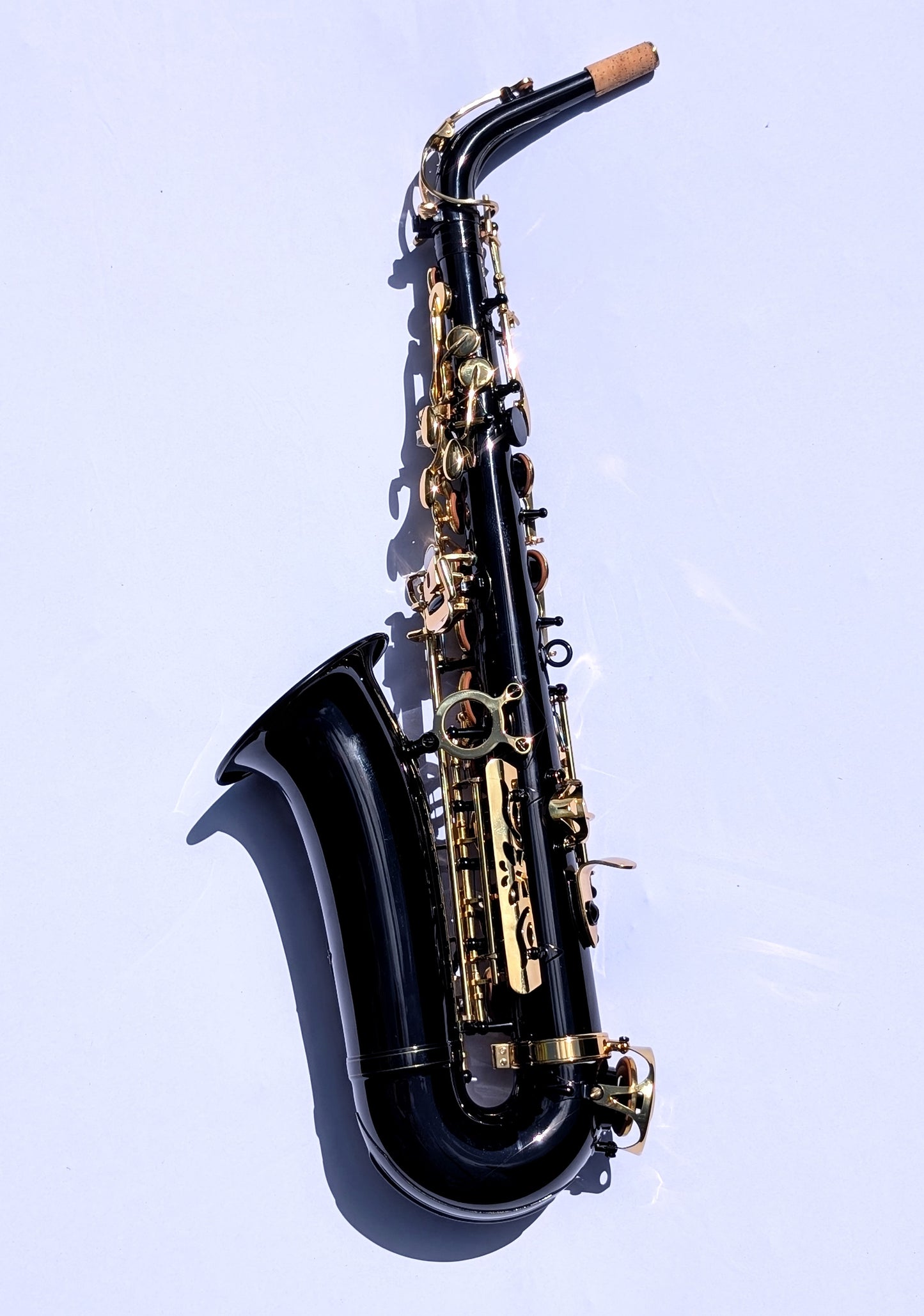 Premium Black Alto Saxophone with High F#