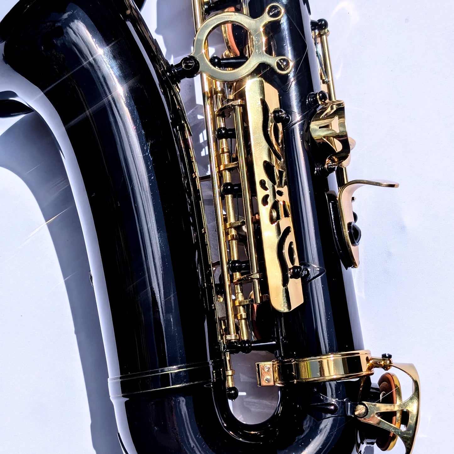 Premium Black Alto Saxophone with High F#