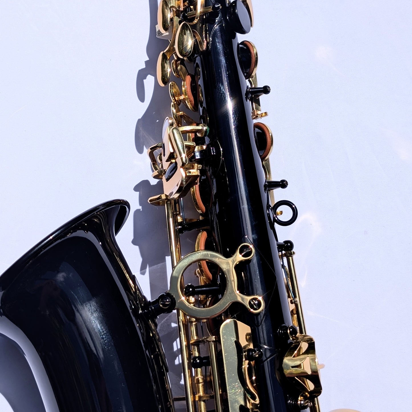 Premium Black Alto Saxophone with High F#