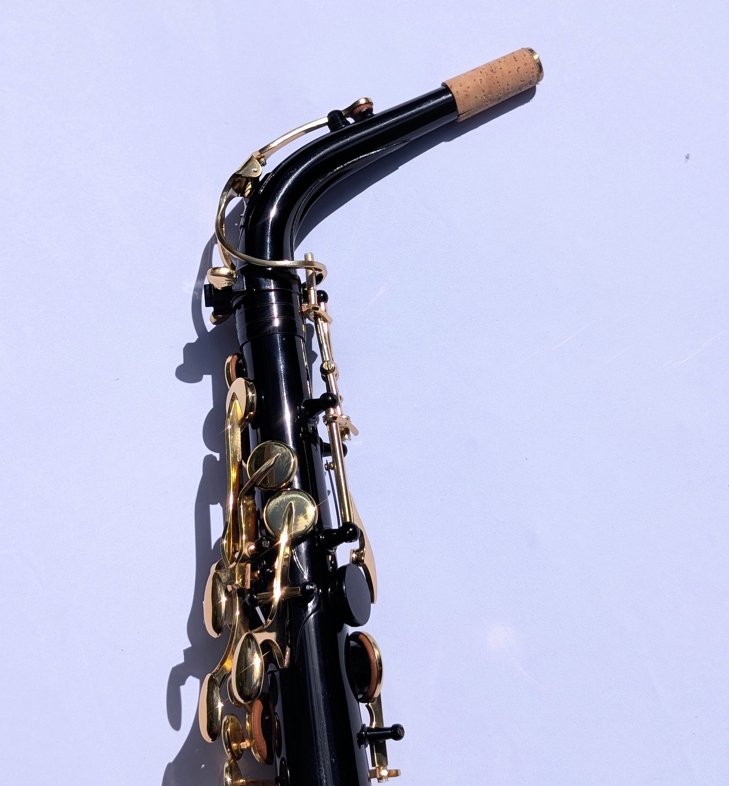Premium Black Alto Saxophone with High F#