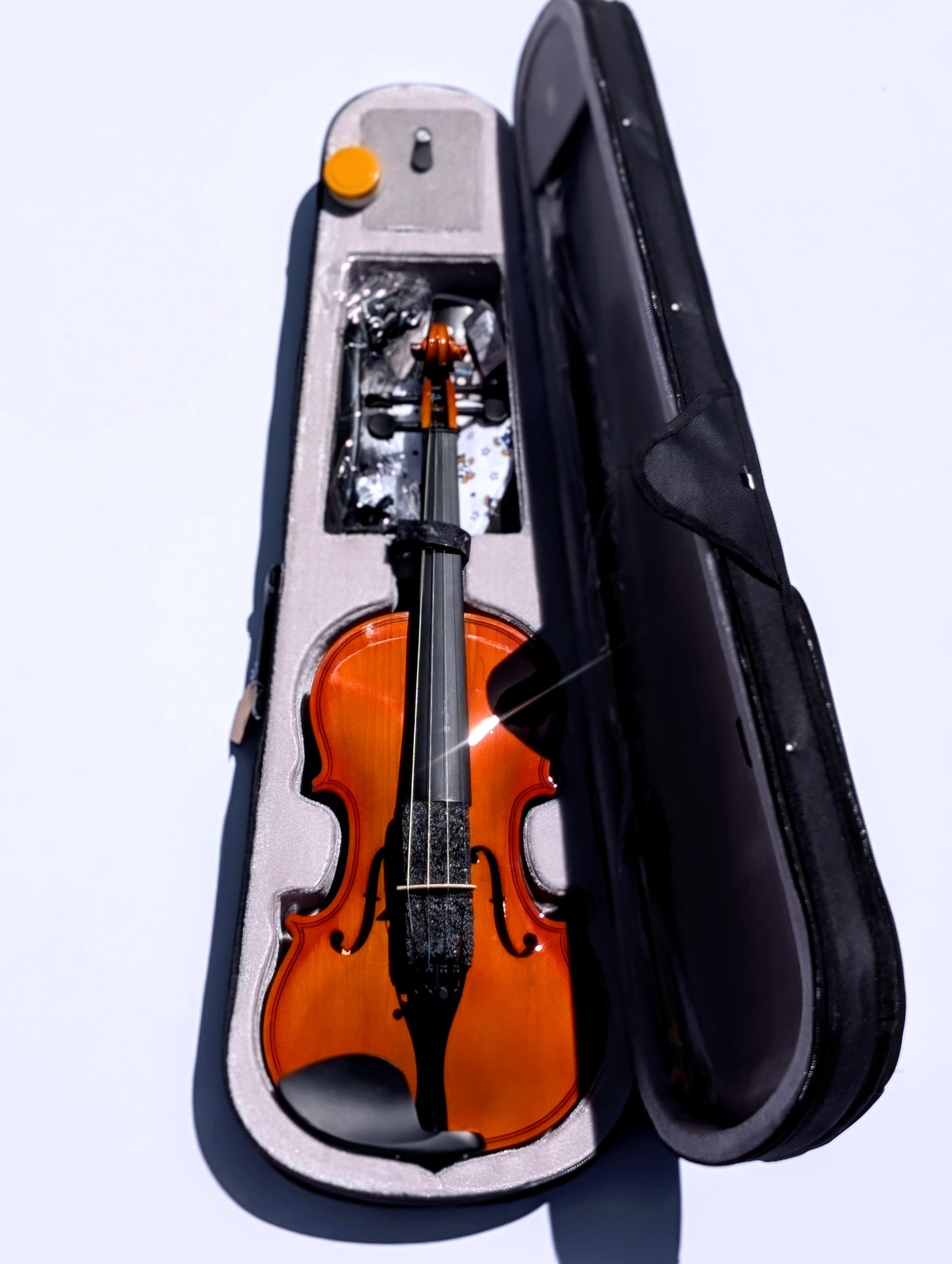 Premium Student Violin Complete Outfit 4/4