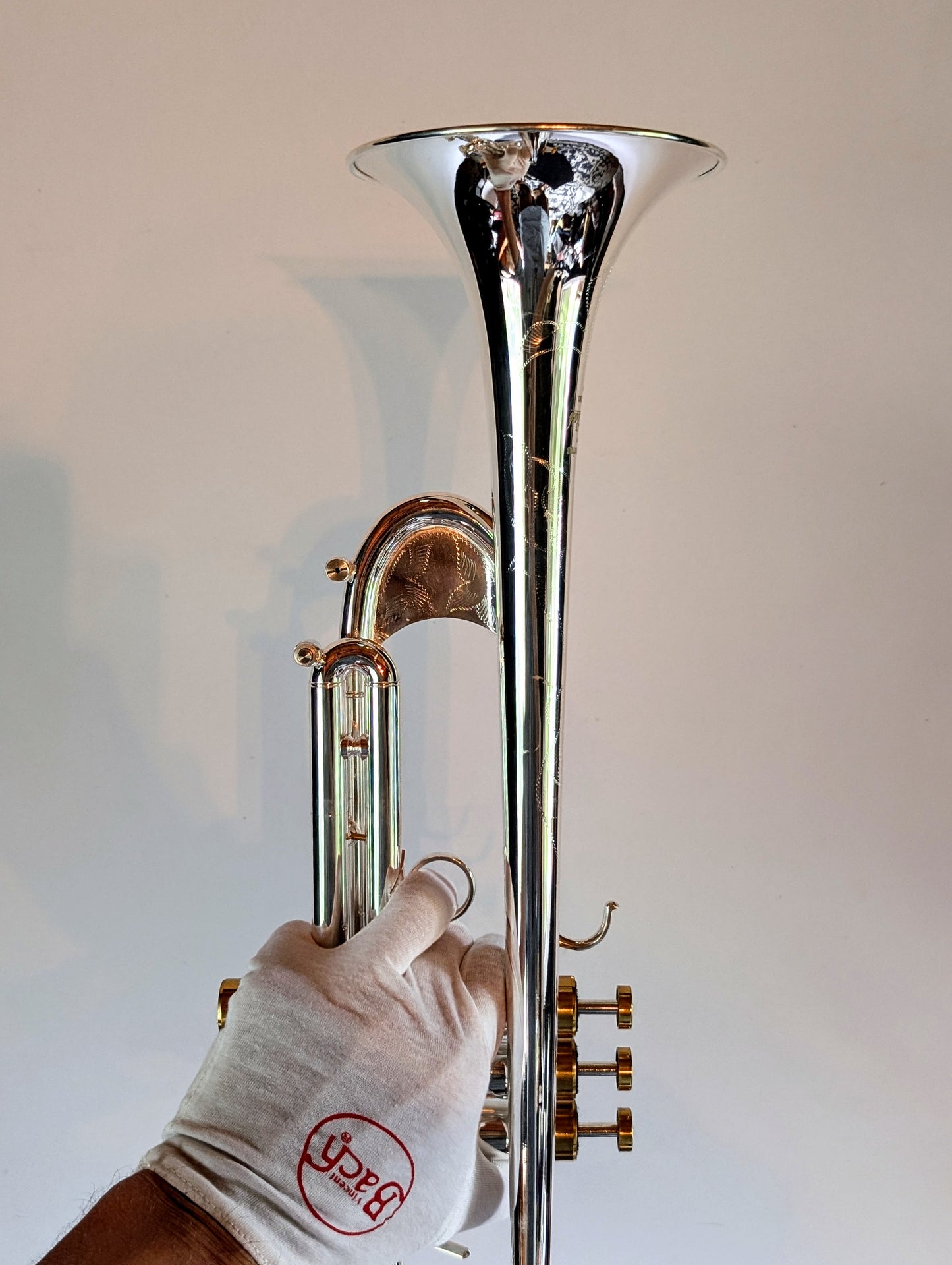 Trumpet Modern House Brand