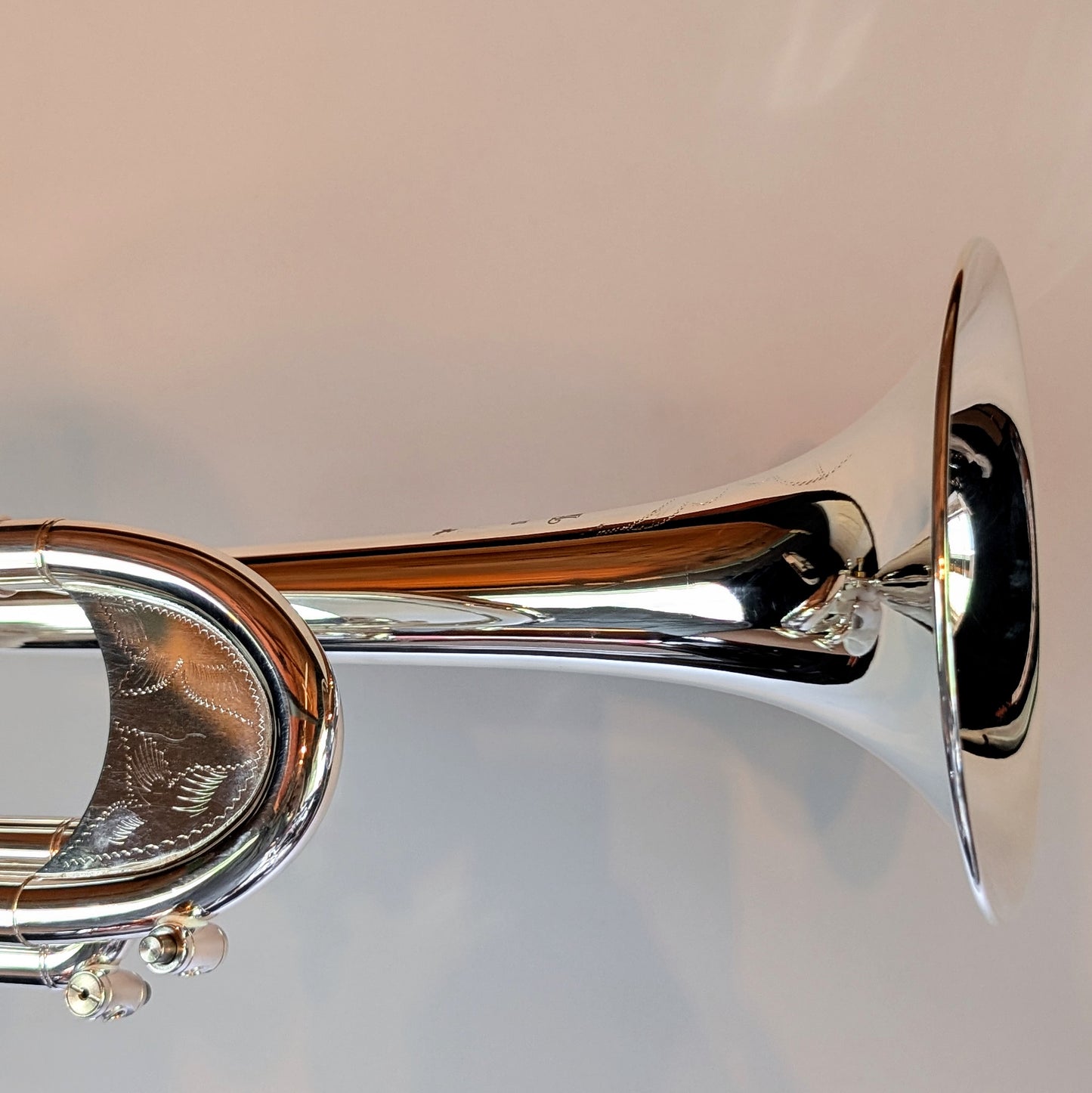 Trumpet Modern House Brand