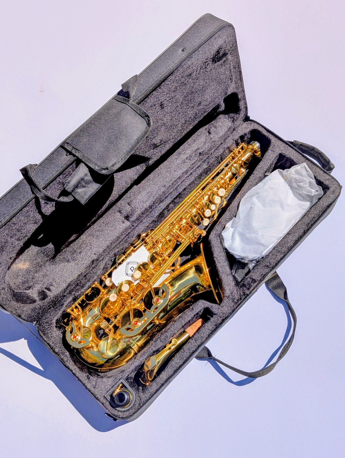 Premium Grade Bright Brass Student Alto Sax