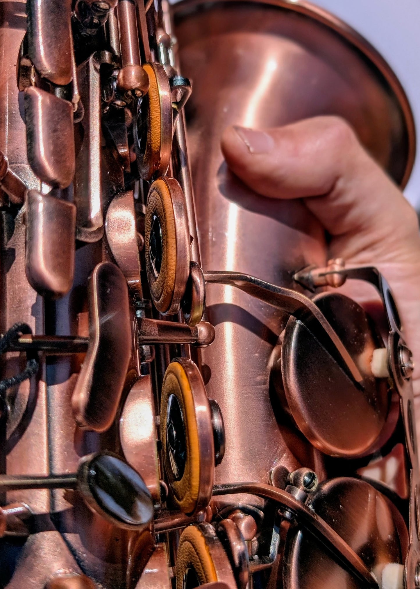 Copper Alto Saxophone with High F#