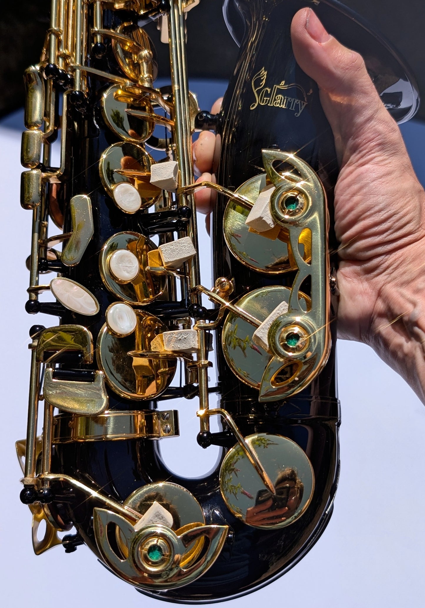 Black Lacquer Premium Alto Saxophone
