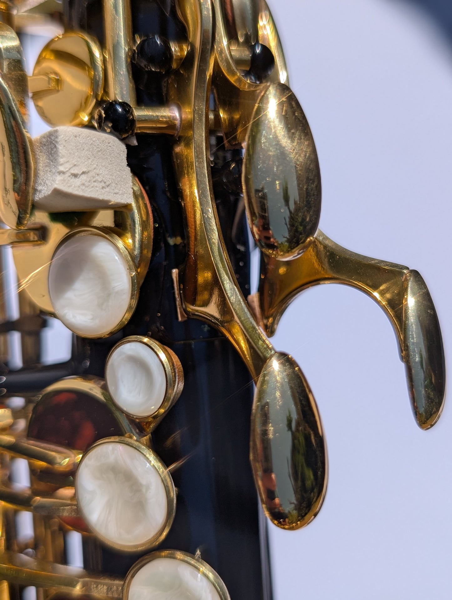 Premium Black Alto Saxophone with High F#