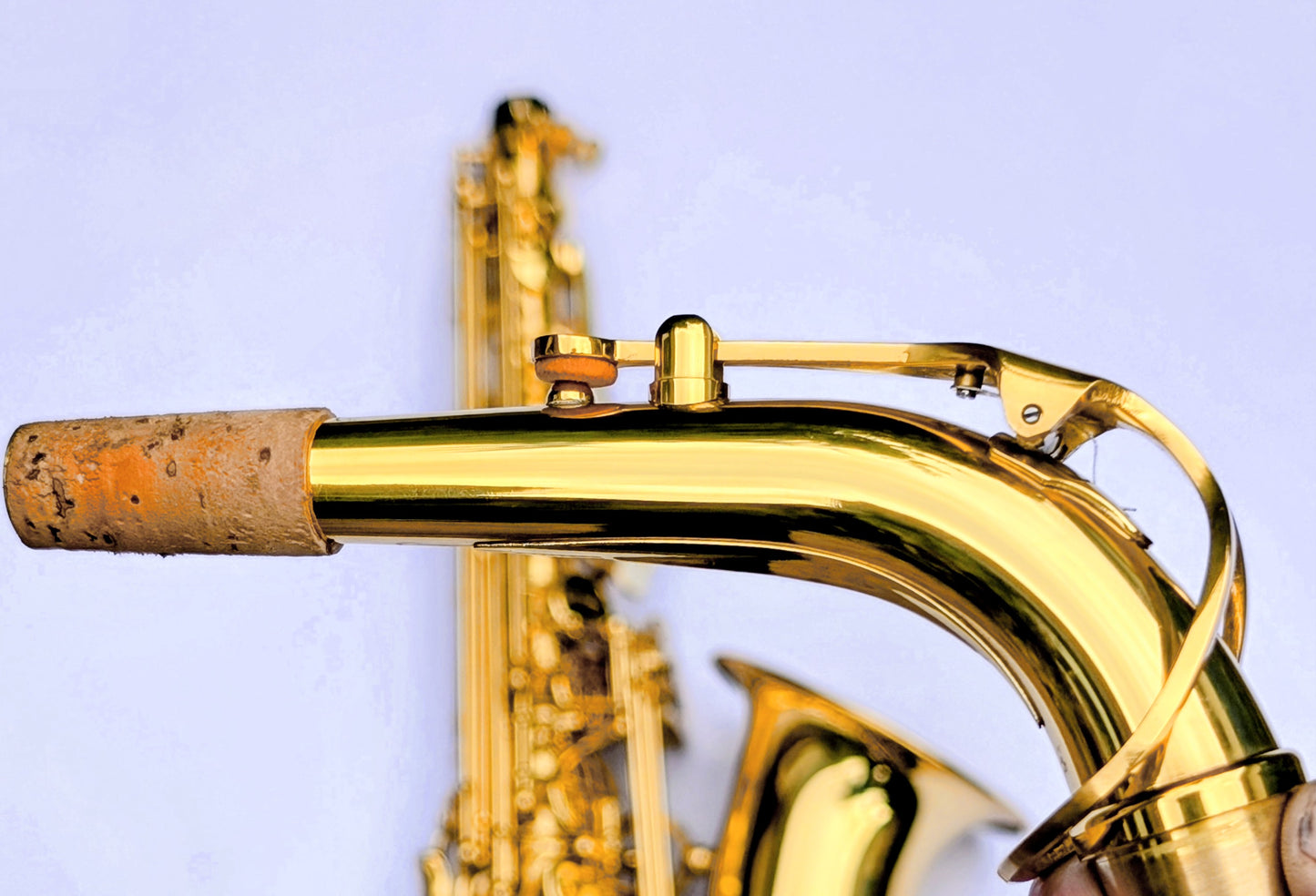 Premium Grade Bright Brass Student Alto Sax