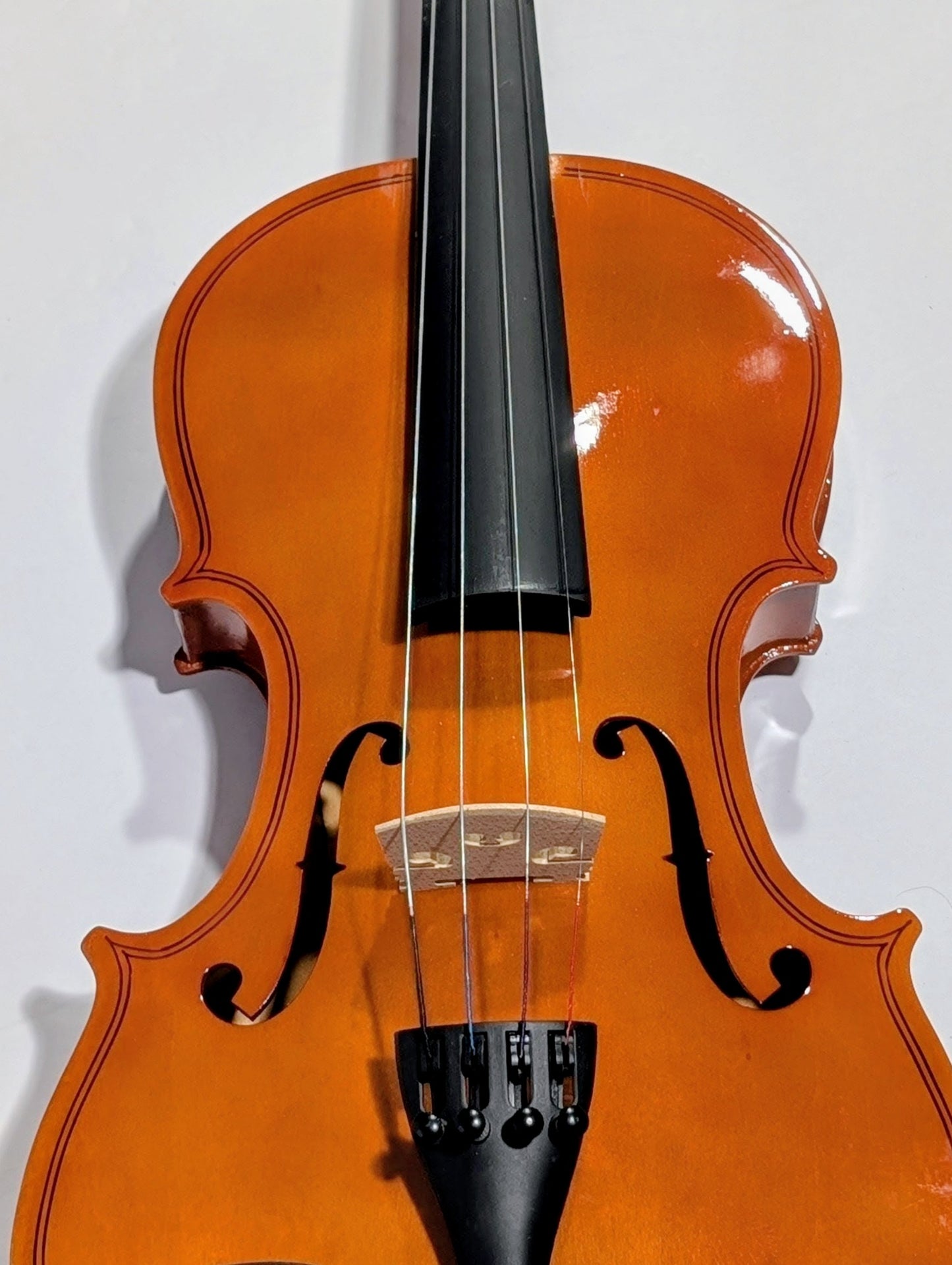 Premium Student 4/4 Violin Ready-to-Play