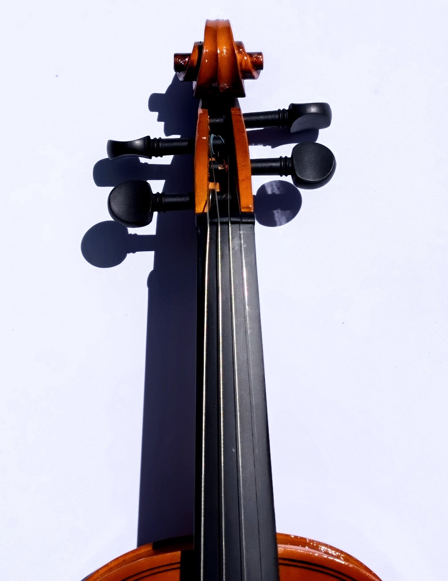 Premium Student Violin Complete Outfit 4/4
